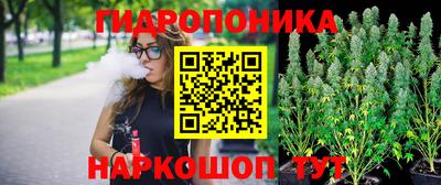 a pvp Моздок
