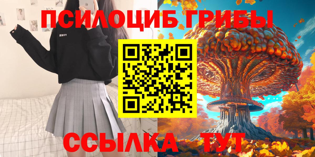 Галлюциногенные грибы Psilocybine cubensis Фрязино