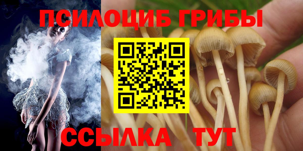 Фрязино  Псилоцибиновые грибы мицелий  купить   Вход с VPN 